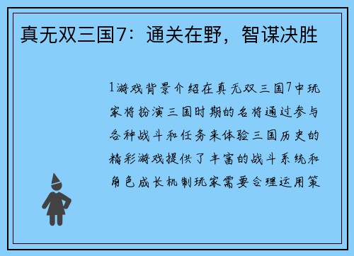 真无双三国7:通关在野,智谋决胜 真无双三国7:通关在野,智谋决胜